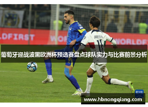 葡萄牙迎战波黑欧洲杯预选赛盘点球队实力与比赛前景分析