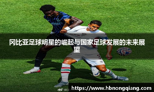 冈比亚足球明星的崛起与国家足球发展的未来展望