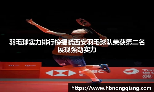 必一·体育(b-sports)