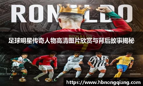 必一运动bsport体育