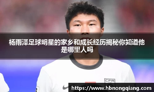 必一·体育(b-sports)