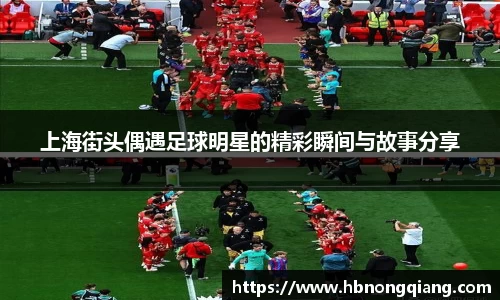 必一运动bsport体育